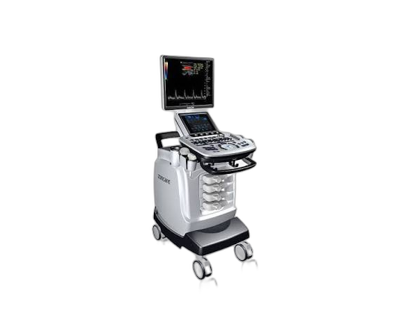 Ultrasound Scan